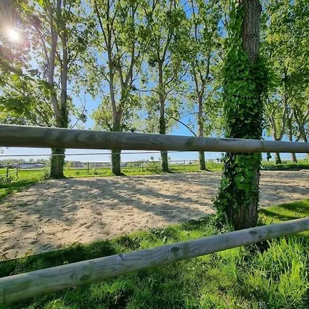 L'insouciant Graye-sur-Mer